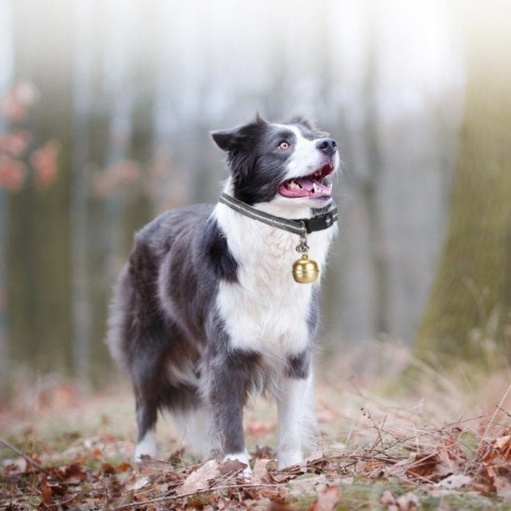 Locator Pet Wear Waterproof Anti-loss Track