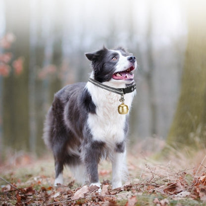 Locator Pet Wear Waterproof Anti-loss Track